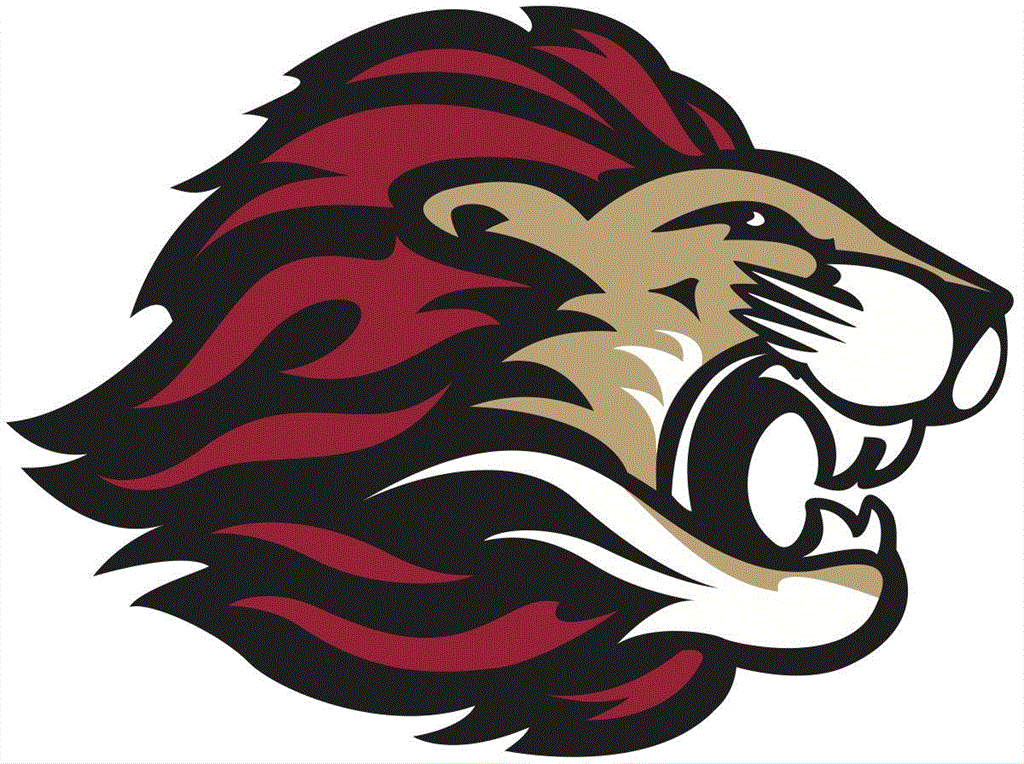 Spring Grove Wins 20-14 over Houston in 9-Man Playoffs